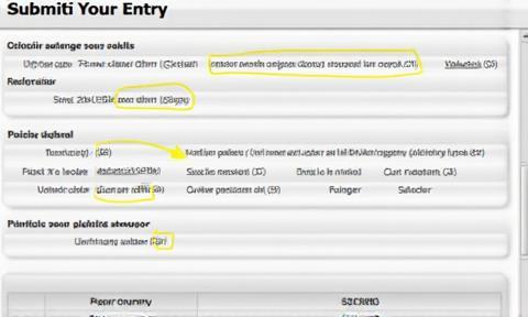 Step 3: Submit Your Entry